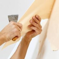 WhatsApp Image 2025-07-04 at 10.06.32 AM WhatsApp Image 2025-07-04 at 10.06.32 AM