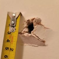 WhatsApp Image 2025-07-04 at 10.06.38 AM (1) WhatsApp Image 2025-07-04 at 10.06.38 AM (1)