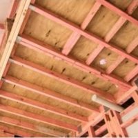 WhatsApp Image 2025-07-04 at 10.06.42 AM WhatsApp Image 2025-07-04 at 10.06.42 AM