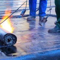 WhatsApp Image 2025-07-04 at 10.07.05 AM WhatsApp Image 2025-07-04 at 10.07.05 AM