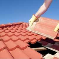 WhatsApp Image 2025-07-04 at 10.07.26 AM WhatsApp Image 2025-07-04 at 10.07.26 AM